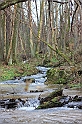 IMG_2583