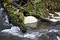 IMG_2585