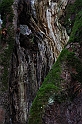 IMG_2591