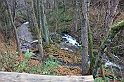 IMG_2603