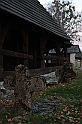 IMG_2771