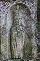 IMG_2849