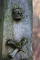 IMG_2851