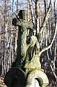 IMG_2853