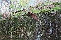 IMG_2878