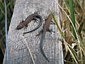 Bieszczady 2006 005