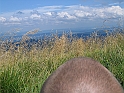 Bieszczady 2006 015