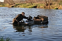 Bojanow poligon Nowa Deba 157