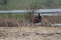 kolejna niedziela 030
