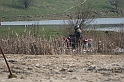 kolejna niedziela 031