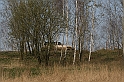 kolejna niedziela 032
