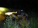 Obraz 084
