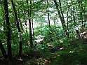 Obraz 135