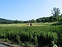 Obraz 193
