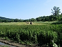 Obraz 195