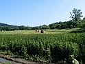 Obraz 196