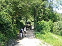 Obraz 198
