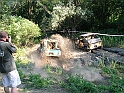 Obraz 231