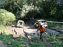 Obraz 236