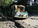 Obraz 240
