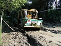 Obraz 244