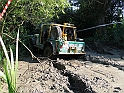 Obraz 245