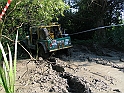 Obraz 247