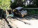Obraz 259