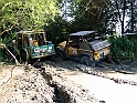 Obraz 260