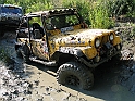 Obraz 268