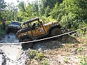 Obraz 281