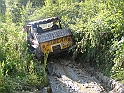 Obraz 293