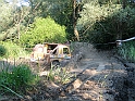 Obraz 308
