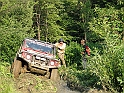 Obraz 341