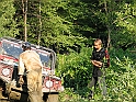 Obraz 342