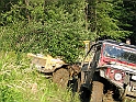 Obraz 344