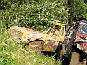 Obraz 345
