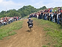 Obraz 065