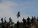 Obraz 113