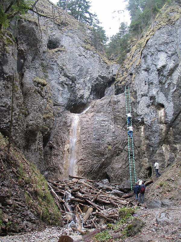 Original image