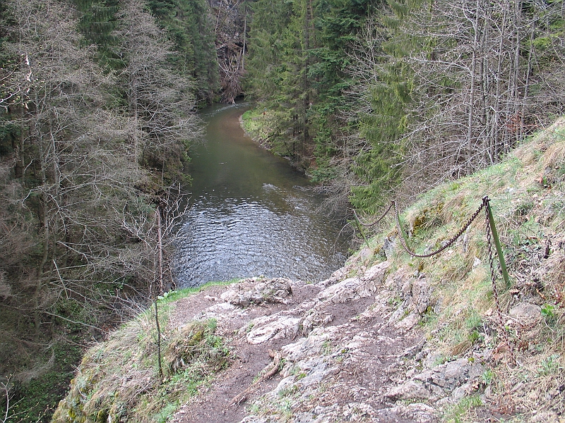 Original image