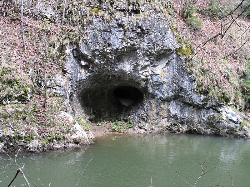 Original image