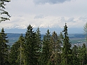 73