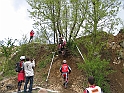 Obraz 00501