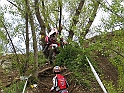 Obraz 007