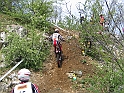 Obraz 013