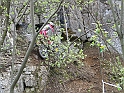 Obraz 015