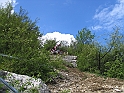 Obraz 054