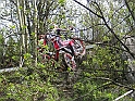 Obraz 089