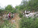 Obraz 096